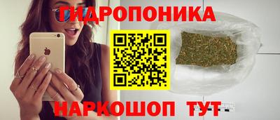 PSILOCYBIN Рыбинск