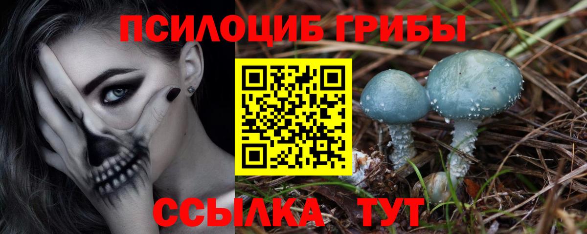 Галлюциногенные грибы Magic Shrooms Новочеркасск